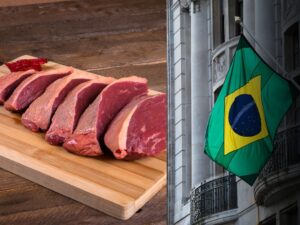 Kit Churrasco Governo Brasileiro