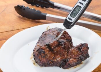 Termômetro de Carne