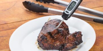 Termômetro de Carne