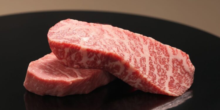 Wagyu: A História da Carne Mais Cara do Mundo