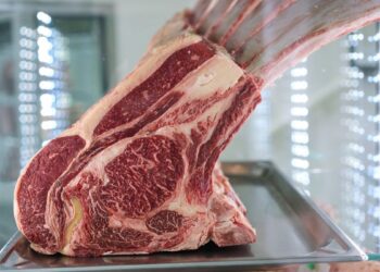 Corte premium de carne maturada em processo de dry aged.