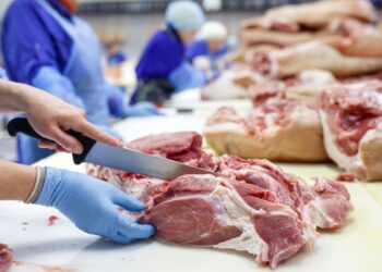 Como reconhecer carne de qualidade no açougue