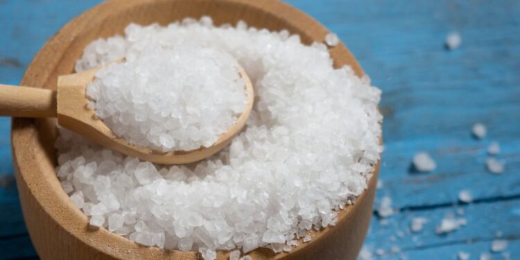 Melhor sal grosso para picanha na brasa