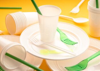 Pratos descartáveis para churrasco