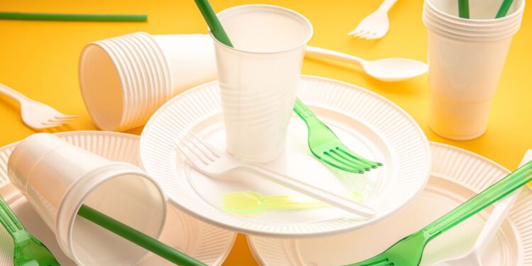 Pratos descartáveis para churrasco